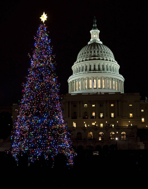 Рождественские огни Вашингтон, США