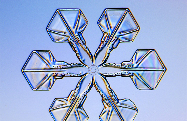 plate-snowflake-1047258-sw.jpg