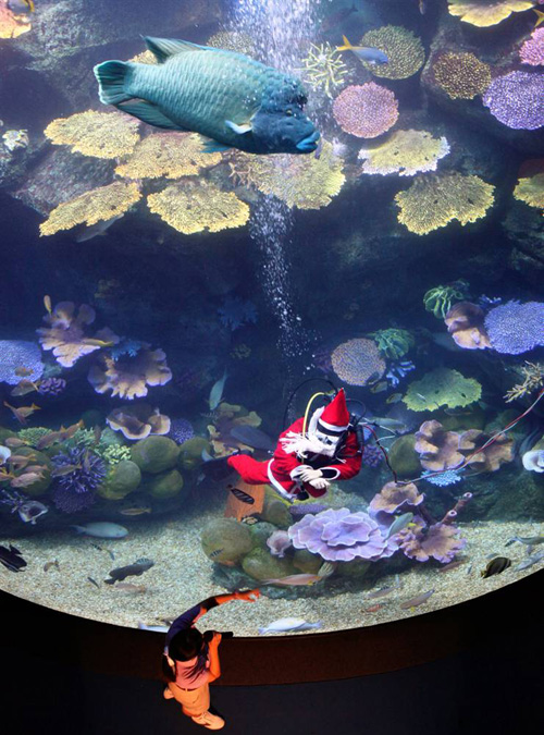 Рыбки и аквалангист в костюме Санты в Аквариуме Siam Ocean World в Бангкоке