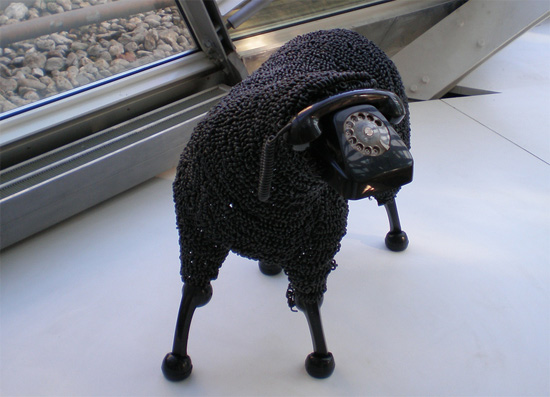 black-sheep.jpg