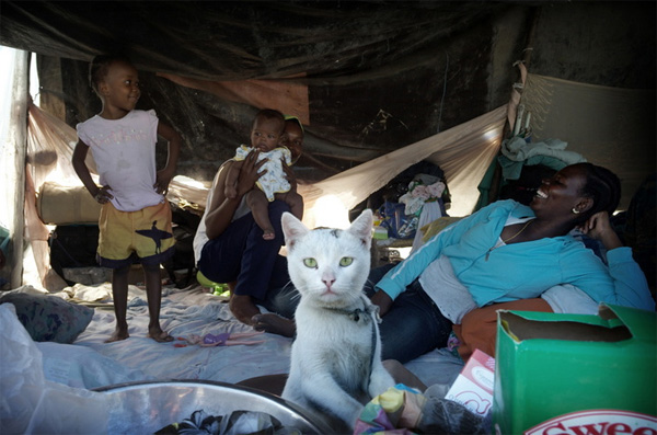 Семья, выжившая во время землетрясения на Гаити, обустроилась во временной палатке