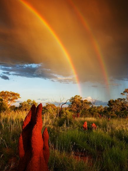Australian Rainbow by Randy Olson.jpg