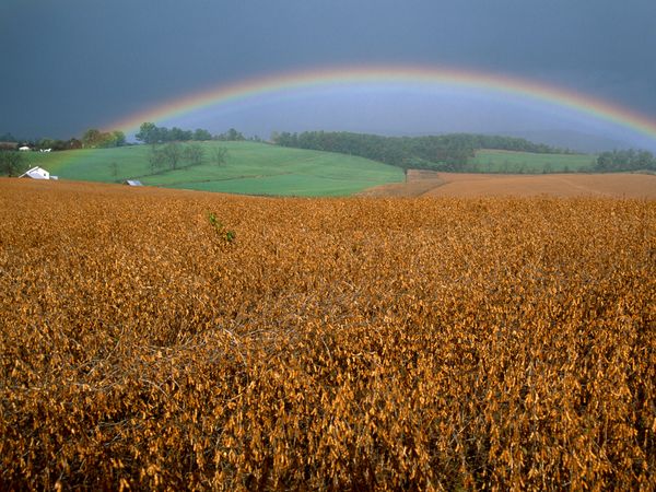 Rainbow Over Soybean Field by Raymond Gehman.jpg