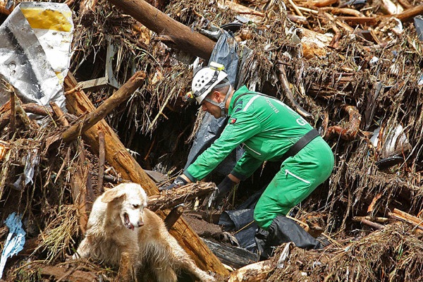 madeira_portugal_floods05.jpg