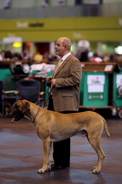 crufts_dog_show_birmingham04.jpg