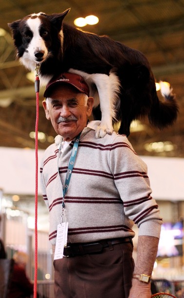 crufts_dog_show_birmingham05.jpg