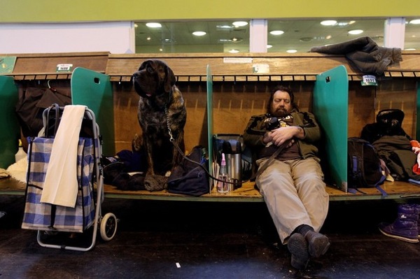 Crufts 2010 dog show in Birmingham, England