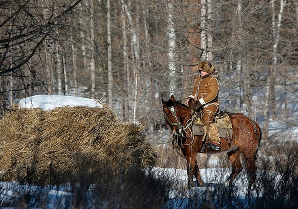 vladimir_putin_siberia_hakasiya07.jpg