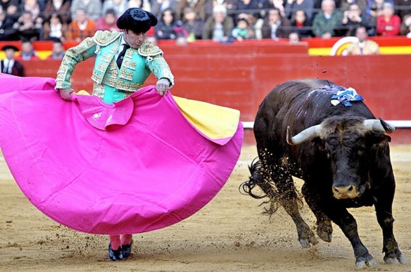 las_fallas_bullfighting.jpg
