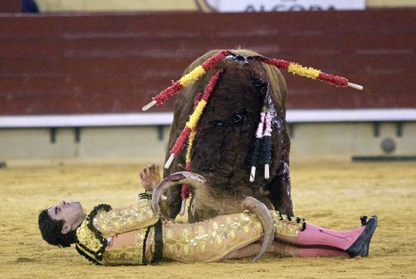 las_fallas_bullfighting3.jpg