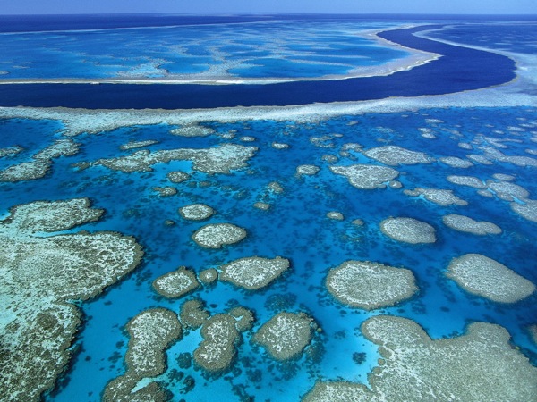 Great_Barrier_Reef_Marine_Park_Queensland_Australia.jpg