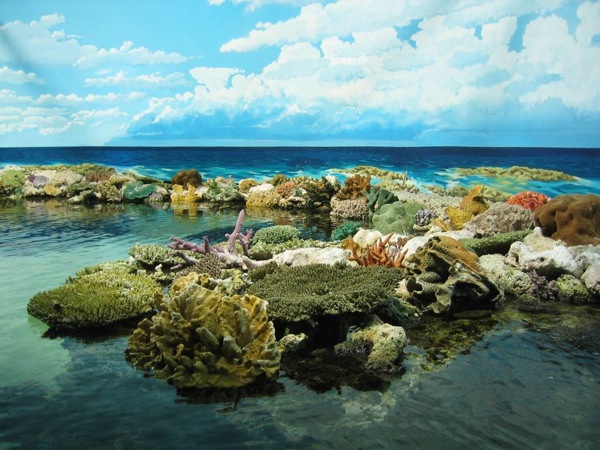 Большой Барьерный риф - Квинсленд - Австралия