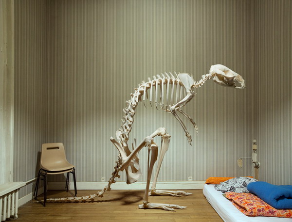 MarcDaCunhaLopesSklt01.jpg