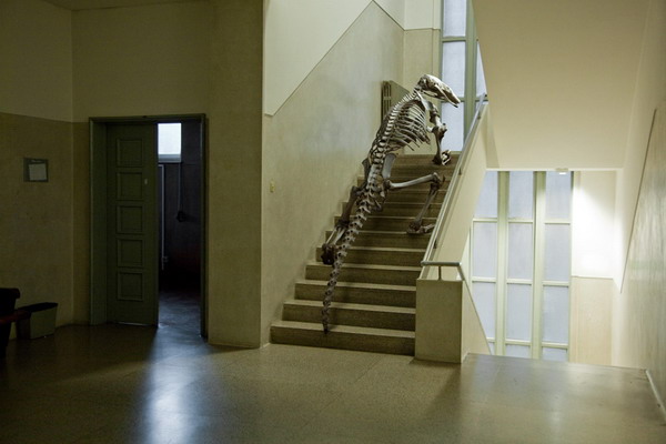 MarcDaCunhaLopesSklt04.jpg
