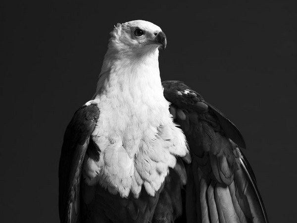 HediSlimane46.jpg