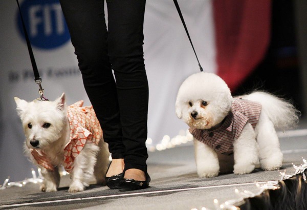 pet_apparel_fashion_show_new_york02.jpg
