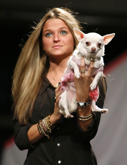 pet_apparel_fashion_show_new_york08.jpg