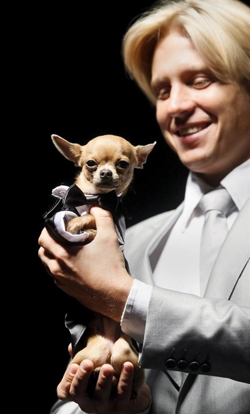 pet_fashion_week_moscow08.jpg