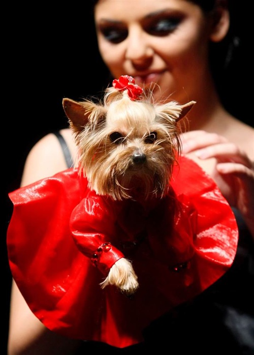 pet_fashion_week_moscow09.jpg