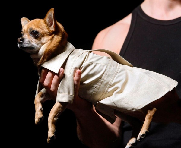 pet_fashion_week_moscow12.jpg