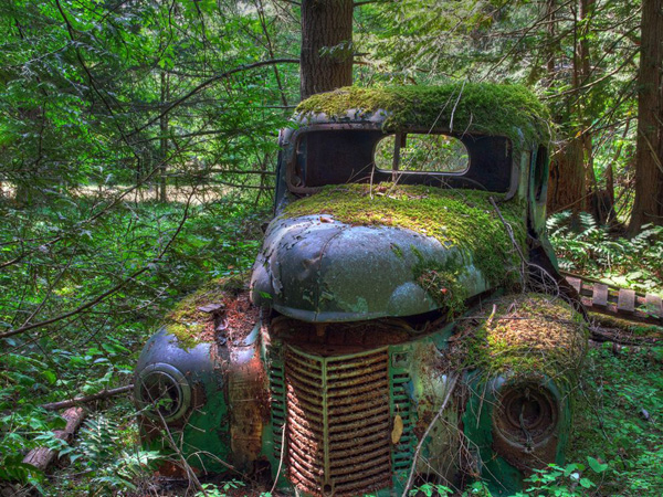 old-truck-forest_18741_990x742.jpg