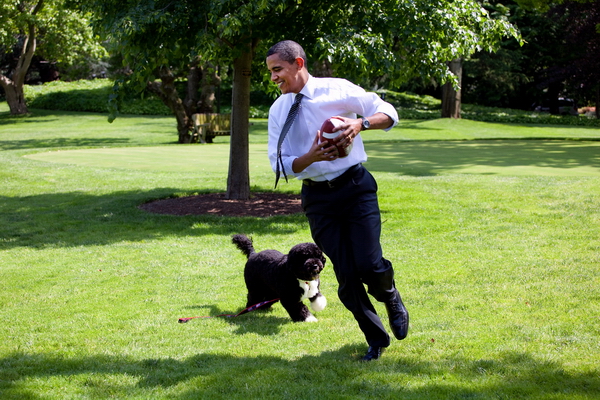 PeteSouza48.jpg