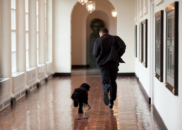 PeteSouza49.jpg