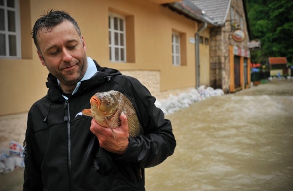 floods_hungary_fish.jpg