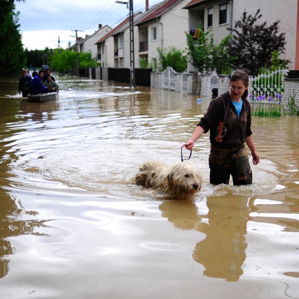 Наводнение в Венгрии