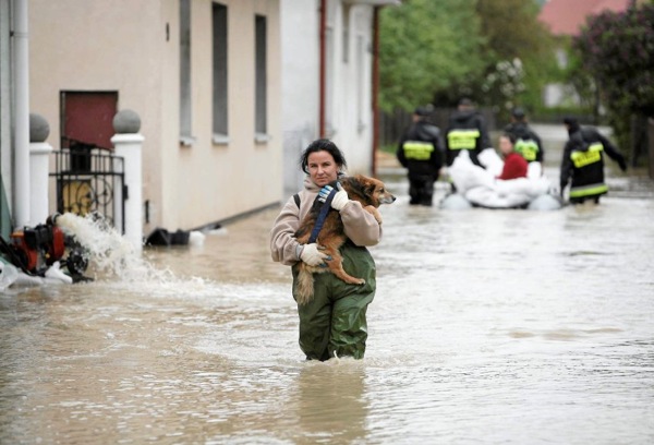 floods_poland_dog_saved.jpg