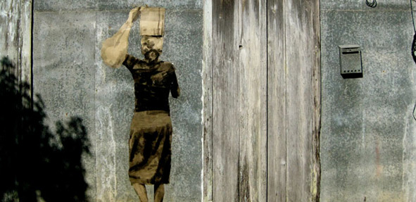 back_to_the_roots-02.jpg