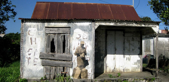 back_to_the_roots-03.jpg