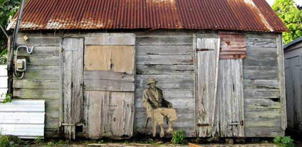 back_to_the_roots-04.jpg
