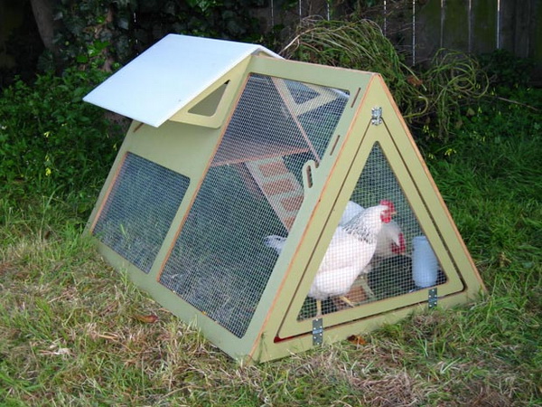 ChickenCribs5_.jpg