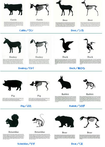 silhouettefile5.jpg