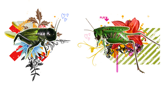 lovebugs02-2-99945.jpg