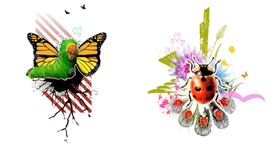lovebugs03-2-12f78.jpg