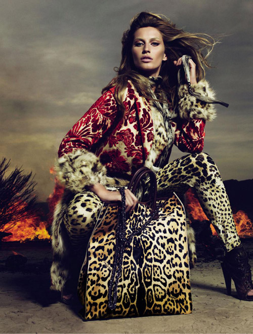 robertocavallicampaign5.jpg