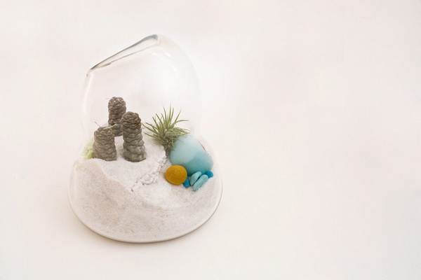 litill-terrariums__04.jpg