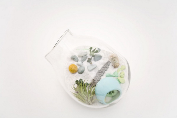 litill-terrariums__05.jpg