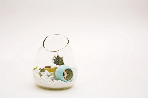 litill-terrariums__07.jpg