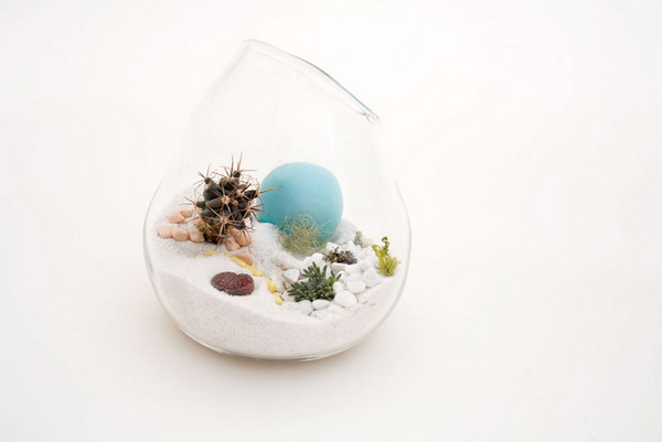 litill-terrariums__08.jpg