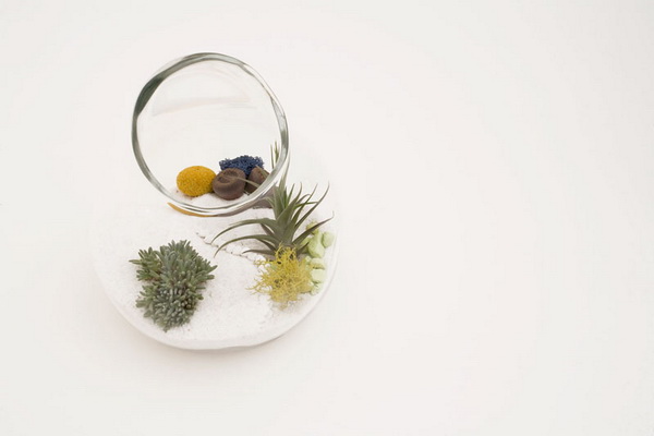 litill-terrariums__10.jpg