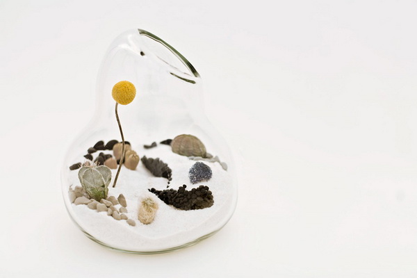 litill-terrariums__11.jpg