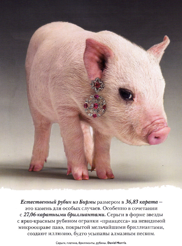 File1831.jpg