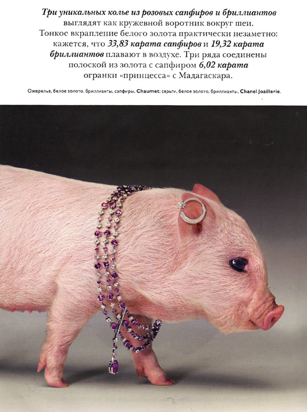 File1833.jpg