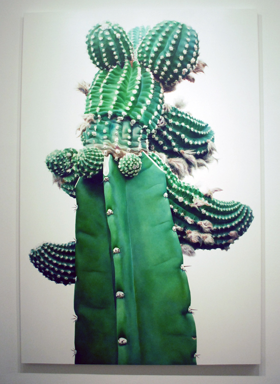 kwangho-lee_cactus.jpg