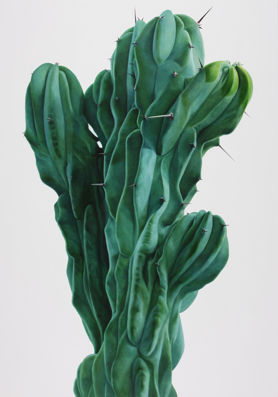 kwangho-lee_cactus_1.jpg