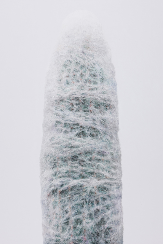 kwangho-lee_cactus_2.jpg