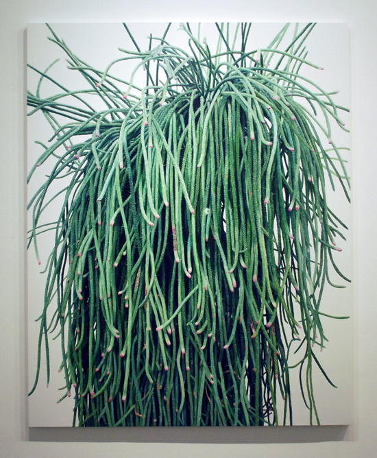 kwangho-lee_cactus_3.jpg